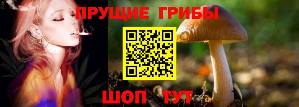 Псилоцибиновые грибы Psilocybe  Вход с VPN  Ярцево  Галлюциногенные грибы прущие грибы 